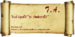 Tulipán Ambró névjegykártya